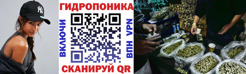 Наркошоп купить COCAIN  АМФЕТАМИН  Гашиш  Альфа ПВП  Марихуана  Галлюциногенные грибы  МЕФ  Саяногорск