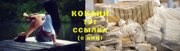 СК Бронницы